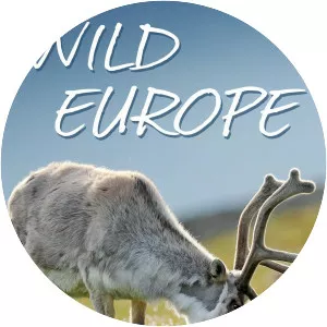 Wild Europe photograph