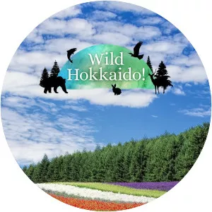 Wild Hokkaido! - TV program