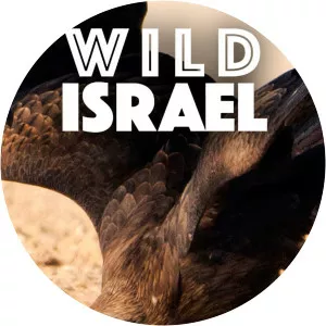 Wild Israel - 2016 ‧ 1 season