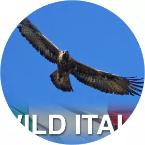 Wild Italy