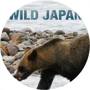 Wild Japan