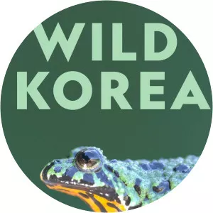 Wild Korea - TV program