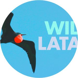 Wild Latam