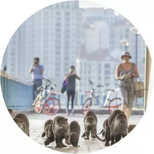 Wild Metropolis - TV program