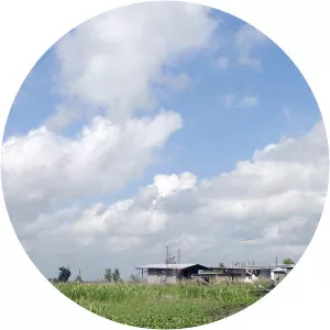 An den Uferndes Mississippi