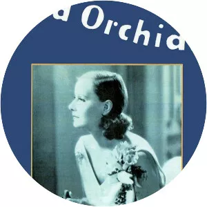 Wild Orchids