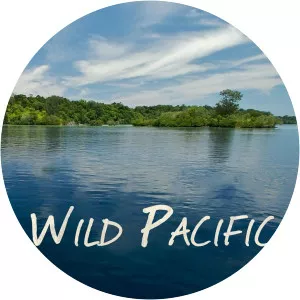 Wild Pacific - TV program