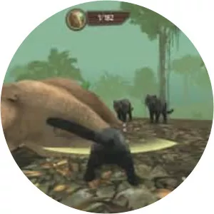 Wild Panther Sim 3D