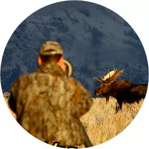 Wild Photo AdventuresSince 2008