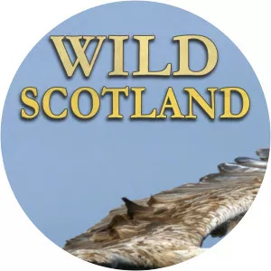 Wild Scotland