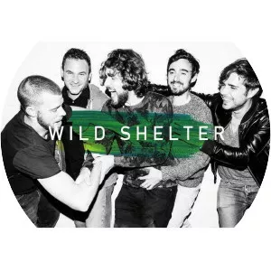 wild shelter - Musical artist