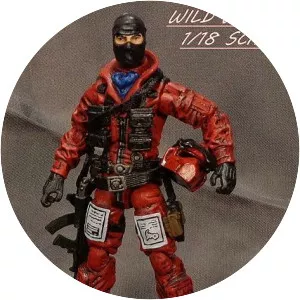 Wild Weasel - Fictional character