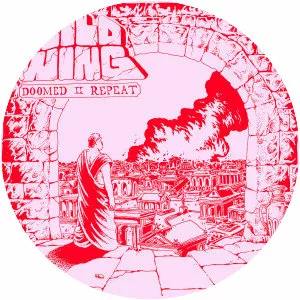 Wild Wing photograph