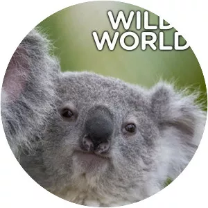 Wild World - TV program