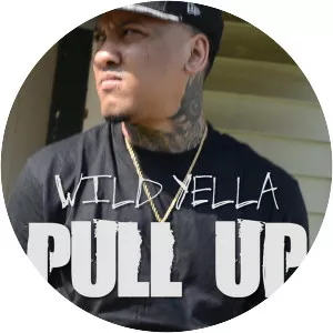Wild Yella - Musical artist