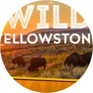 Wild Yellowstone - TV program