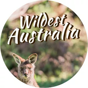 Wildest AustraliaSince 1999 - TV program