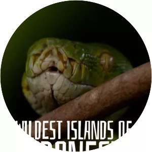 Wildest Islands Of Indonesia - TV program
