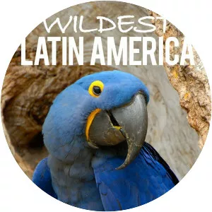 Wildest Latin America