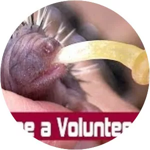 Wildlife Aid Foundation