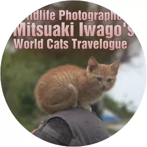 Wildlife Photographer Mitsuaki Iwago'. . .