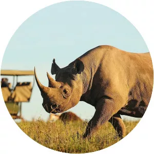 Wildlife Rescue Africa - TV program