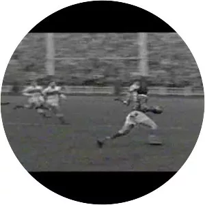 Wilf Rosenberg - South African rugby union player