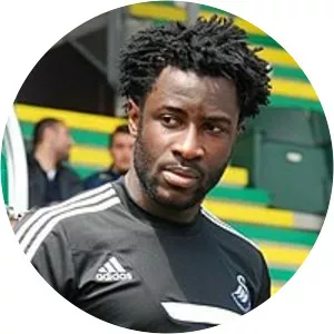 Wilfried Bony - Ivorian footballer
