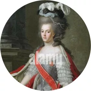 Wilhelmina of Prussia, Princess of Orange