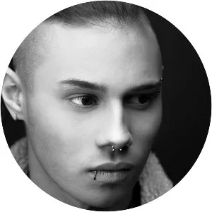 WILL K - Musical artist