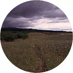 Willamette Floodplain