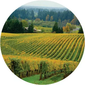 Willamette Valley