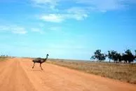 Willandra National Park - 