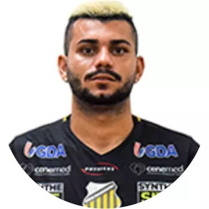 Willean Bernardo Willemen