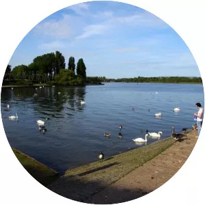 Willen Lake