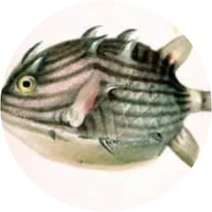 William Buelow Gould - English painter