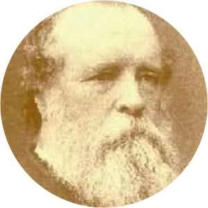 William John Macleay - Politician