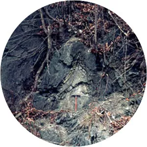 Wills Creek Formation