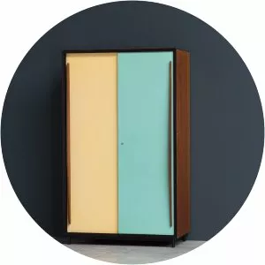 Willy van der Meeren