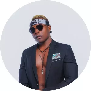 Willz - Musical artist