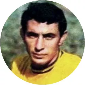 Wilson da Silva Piazza - Brazilian footballer