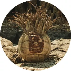 Wilson the Volleyball