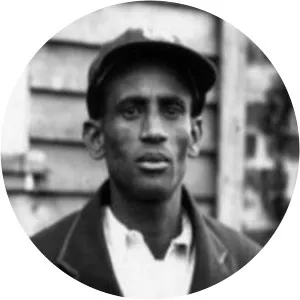 Wilton St Hill - Cricketer