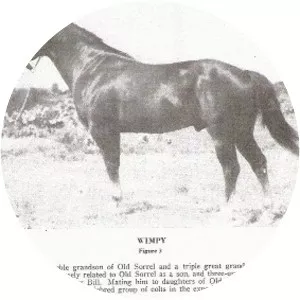Wimpy P-1 photograph