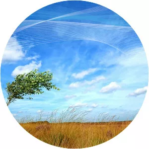 Wind - Musical group