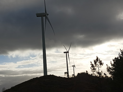 Wind Turbines photograph