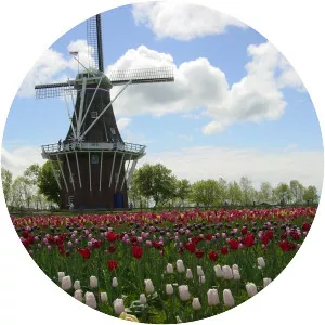 Windmill Island - Island in Holland, Michigan
