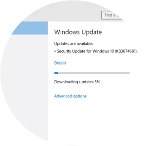 Windows Update - System software