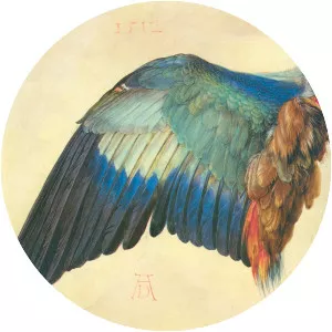 Wing of a European Roller