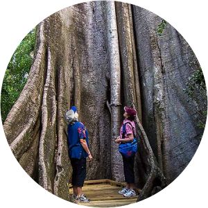 Wingham Brush Nature Reserve - 